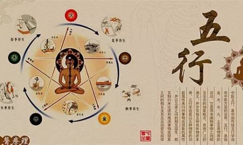 荔枝蜜水果图片-荔枝蜜和柑橘蜜的区别网 - 荔枝蜜水果图片,荔枝蜜的作用与功效